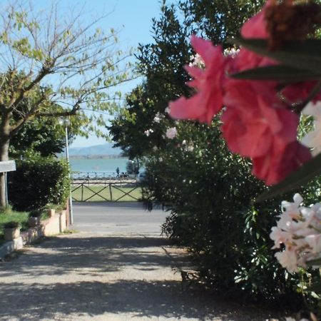 Affittacamere Le Petit Palais Castiglione del Lago Luaran gambar