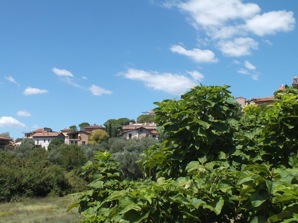 Affittacamere Le Petit Palais Castiglione del Lago Luaran gambar