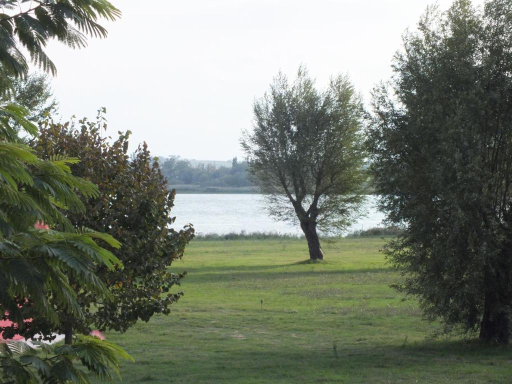 Affittacamere Le Petit Palais Castiglione del Lago Luaran gambar